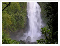 Dominica Tours